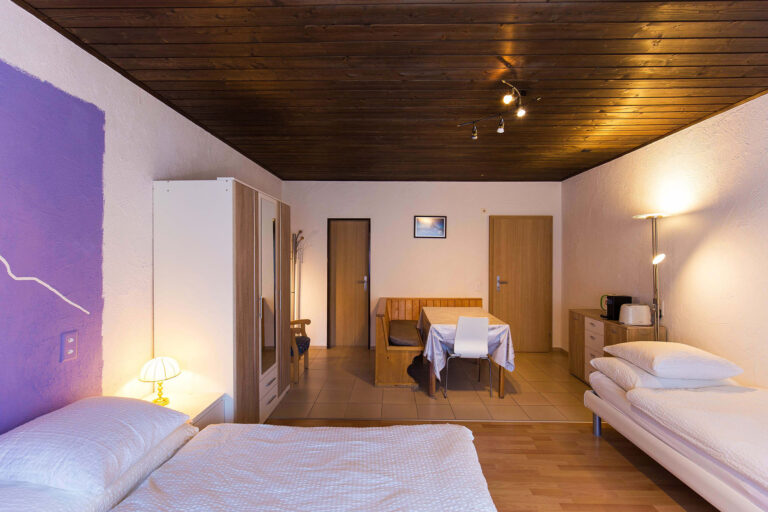 budget_apartments_zermatt_haus_theodul_103_living_011-1