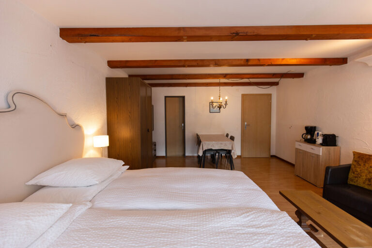 budget_apartments_zermatt_haus_theodul_CASTOR_01_2024